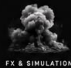 FX Simulation